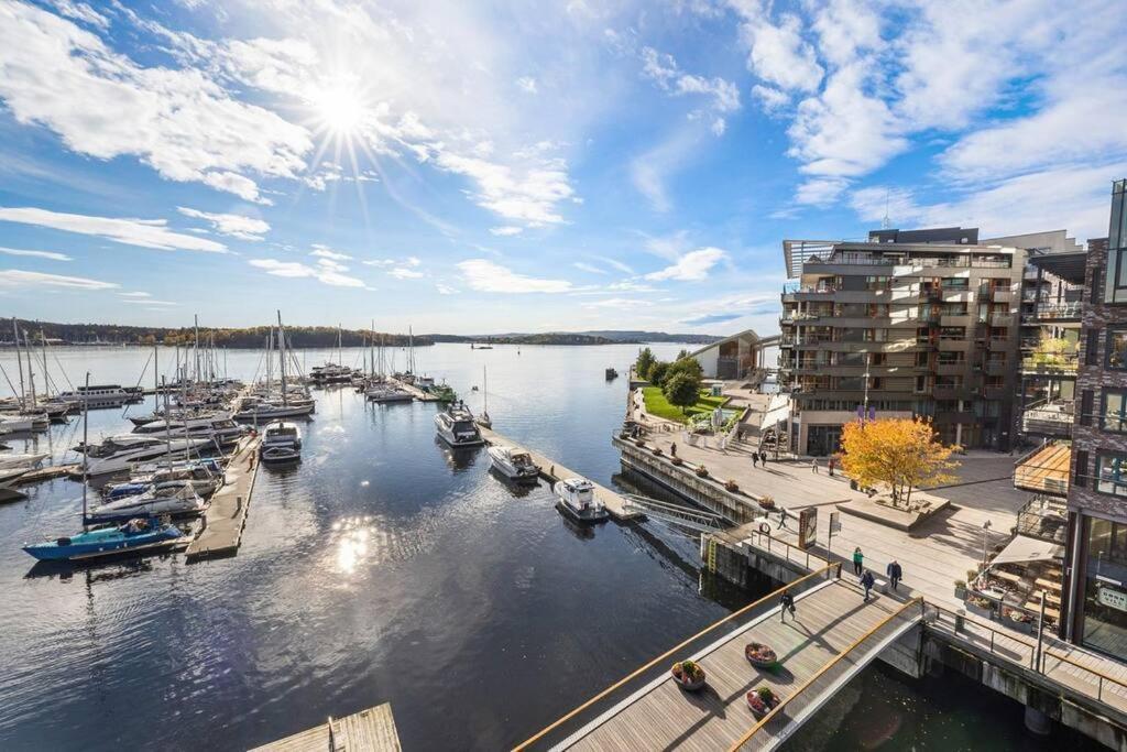 Appartement Large 41 Millions Kr - Seaview In Center Oslo
